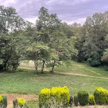 Maison Familiale Avec Terrasse A * Vieille-Brioude