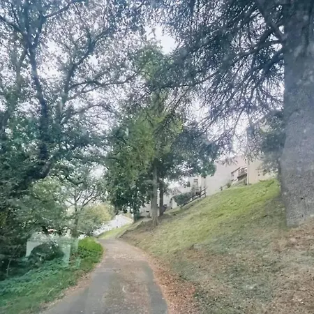 Maison Familiale Avec Terrasse A * Vieille-Brioude